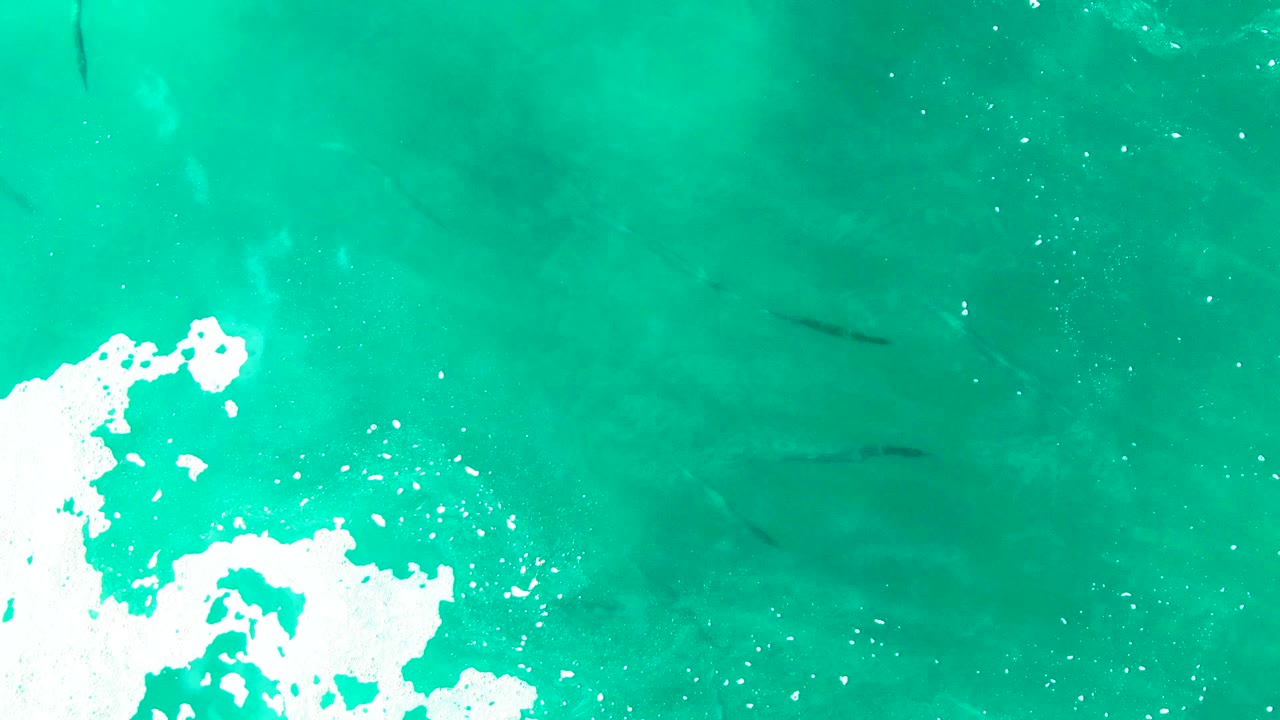 Top-down view of turquoise ocean water at Punta Buzzards, Baja California Sur, with white foam entering from the lower left and dark fish shapes beneath the surface, no visible people.