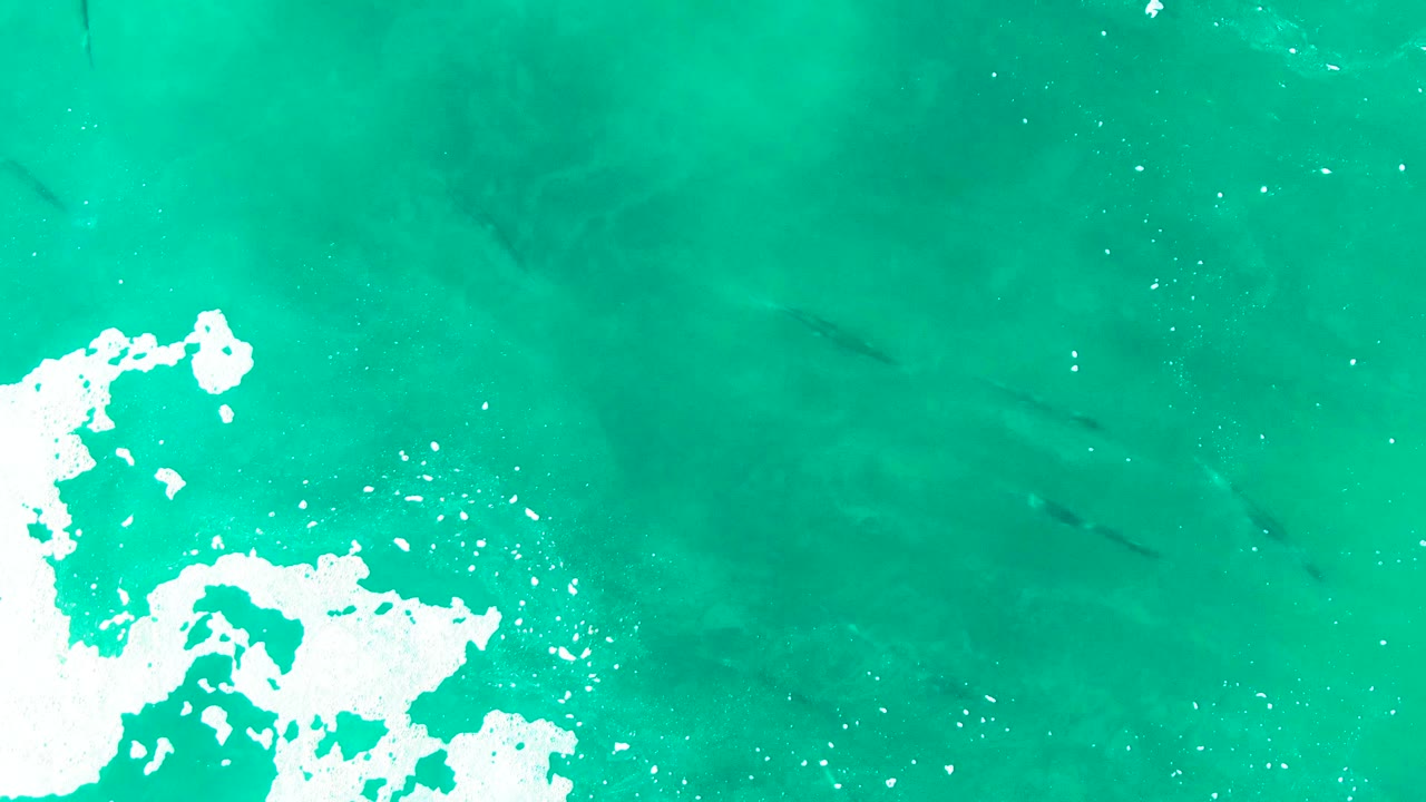 Top-down Punta Buzzards ocean view with a bright white foam patch along the lower left and faint fish shapes spread through the turquoise water, no visible people.