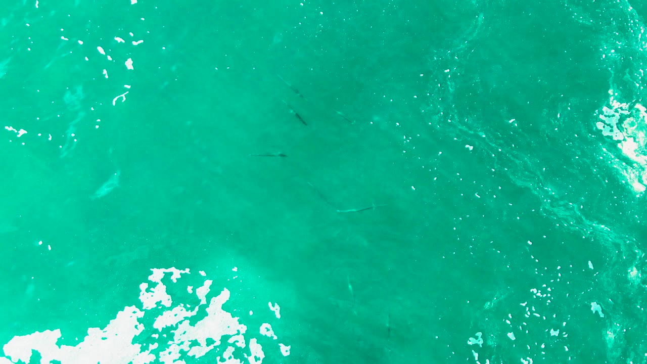Aerial view over Punta Buzzards turquoise water with a bright reflection near the upper center, scattered foam flecks, and no visible people.