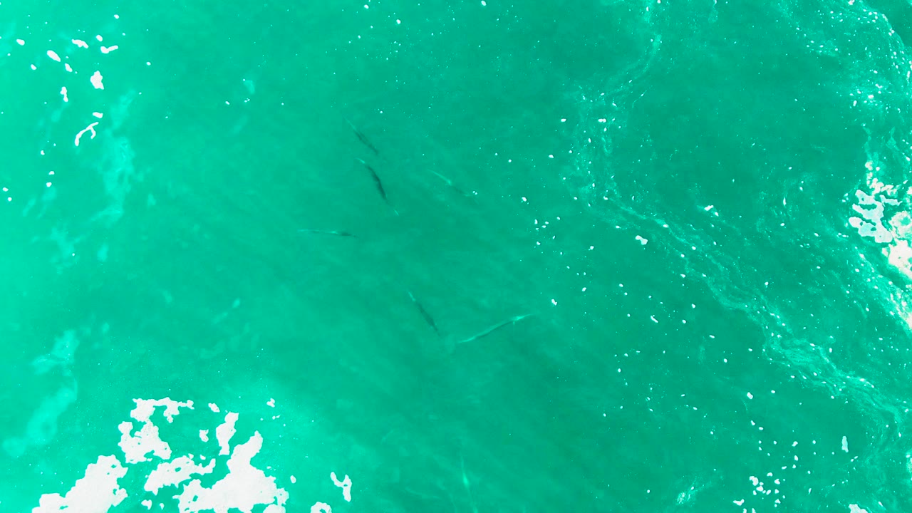Overhead ocean water with foam along the lower left and sunlit ripples