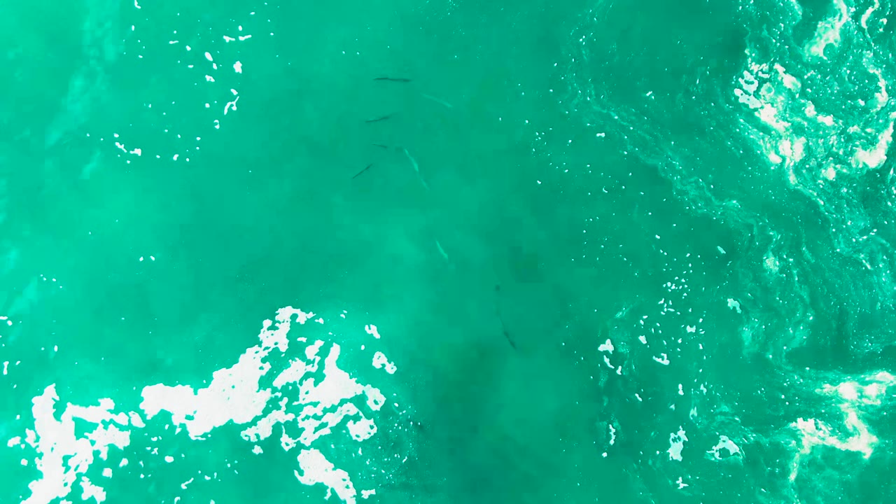 Turquoise ocean surface with white foam and small fish below