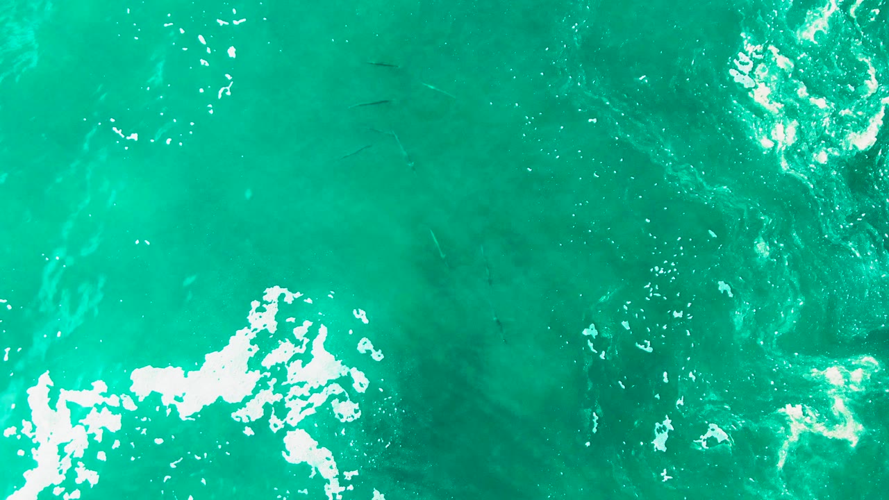 Aerial view over green-turquoise Punta Buzzards water with a bright foam patch low in frame and faint fish silhouettes under the ripples, no visible people.