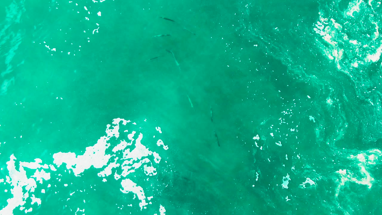 Overhead frame of Punta Buzzards turquoise ocean with scattered white foam across the lower area and faint fish shapes in the upper water, no visible people.