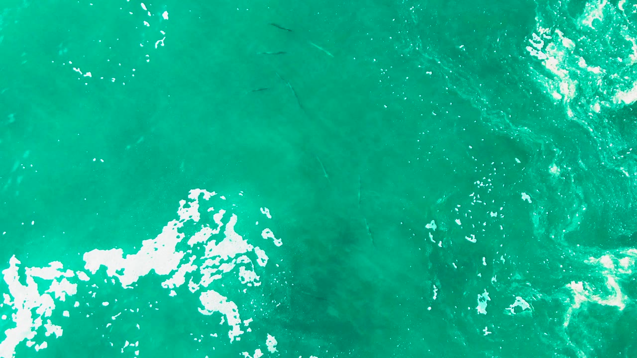 Top-down Punta Buzzards water detail with a vertical band of bubbles and foam through turquoise shallows and small fish below the surface, no visible people.