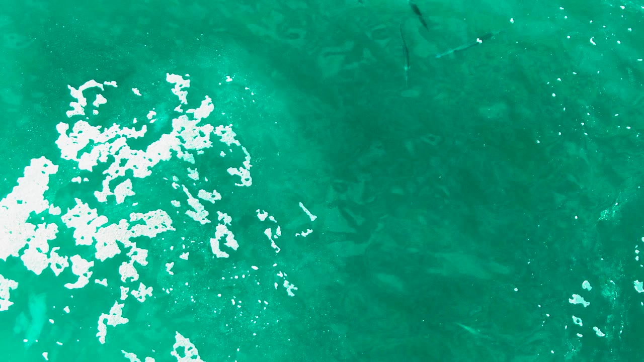 Overhead view of turquoise water at Punta Buzzards, Baja California Sur, with white foam at left, faint fish shapes below the surface, and no visible people.