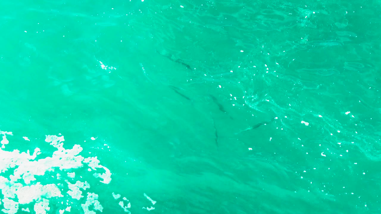 Bright overhead water at Punta Buzzards, Baja California Sur, with foam drifting near the lower left, small dark fish shapes near the upper center, and no visible people.