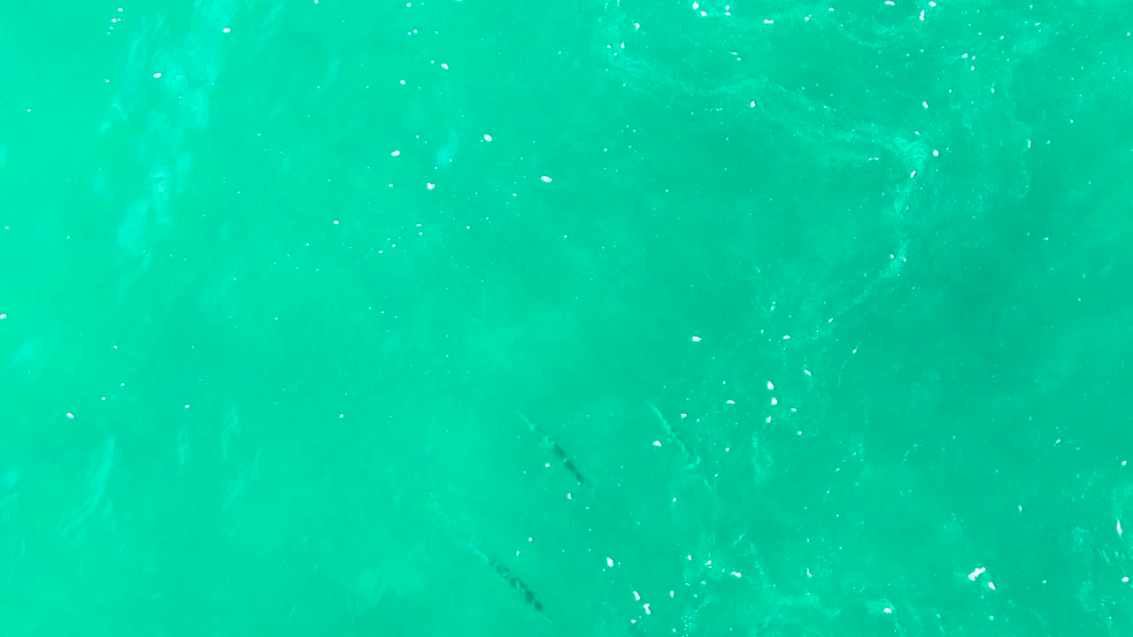 Clear turquoise water with subtle ripples and faint fish shapes beneath the surface.