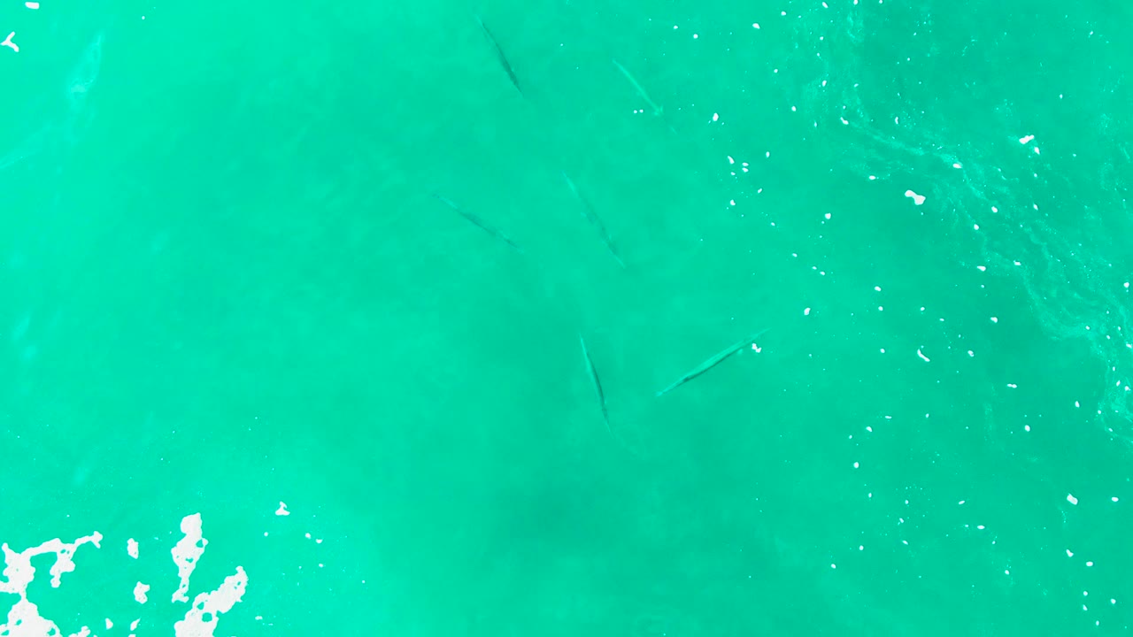 Small fish remain visible beneath turquoise water at Punta Buzzards as scattered white bubbles appear across the surface, with no visible people.
