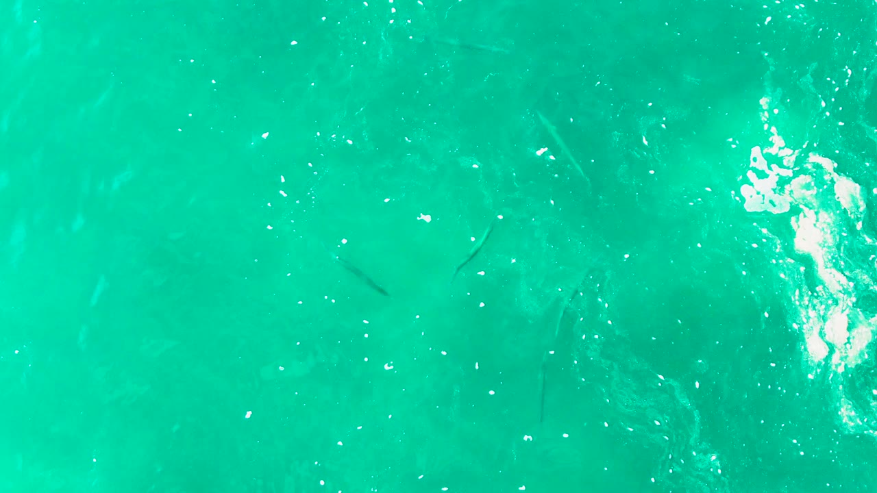 Turquoise ocean surface with faint fish shapes below and small bubbles.
