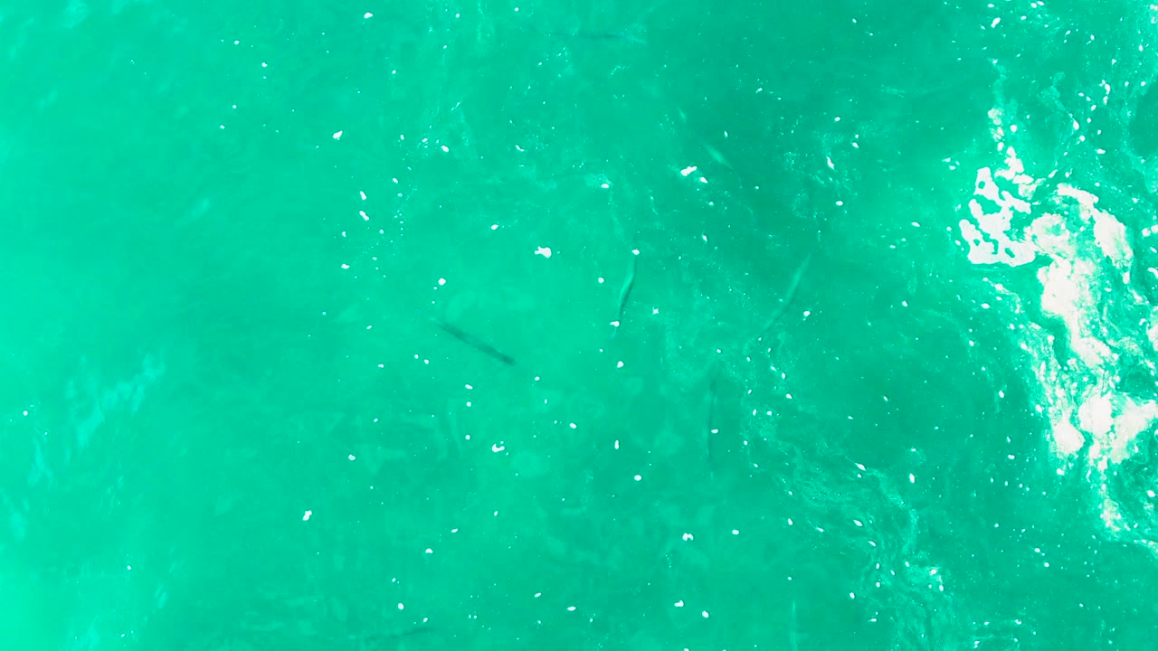Overhead frame from Punta Buzzards showing clear turquoise water, a small dark fish shape under the surface, bright white foam on the right, and no visible people.