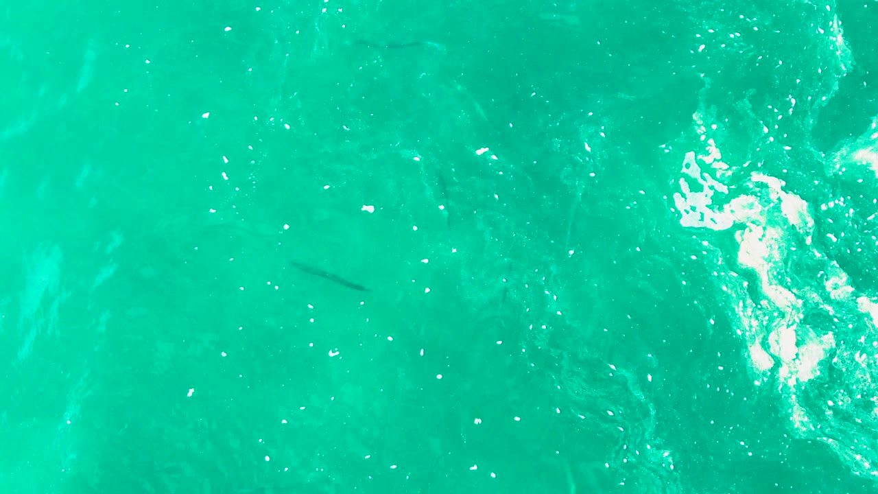 Top-down view at Punta Buzzards with turquoise water filling the frame, a fish shape below the surface, scattered white bubbles, and no visible people.