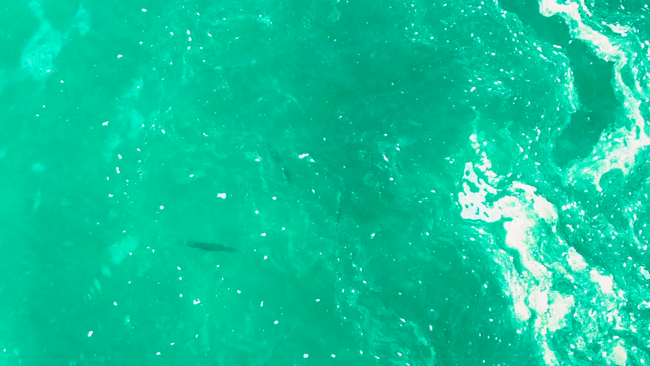 Overhead Punta Buzzards ocean frame with stronger white foam streaks through the turquoise water, faint fish shapes below, and no visible people.