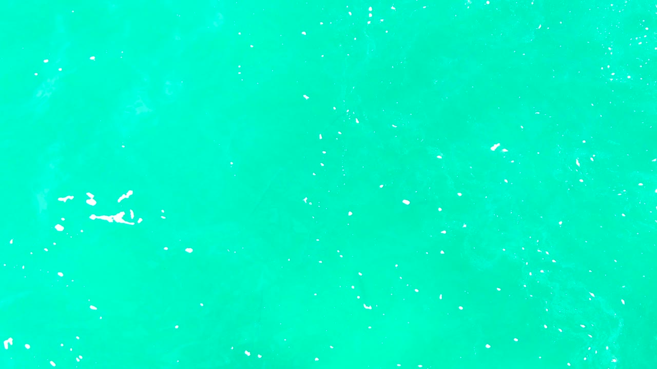 Aerial frame over Punta Buzzards water with a loose cluster of bright white foam near the upper middle and no land, boats, or visible people.