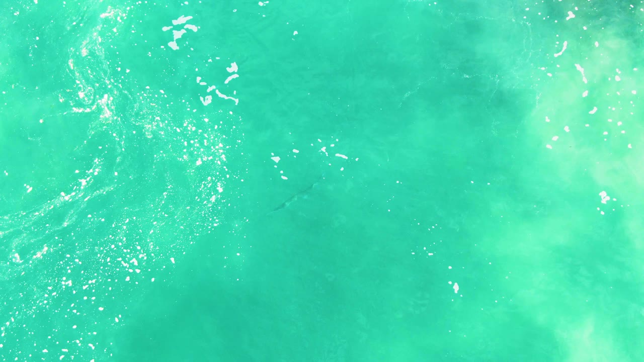 Turquoise ocean surface with foam and a small dark marine animal below the water.