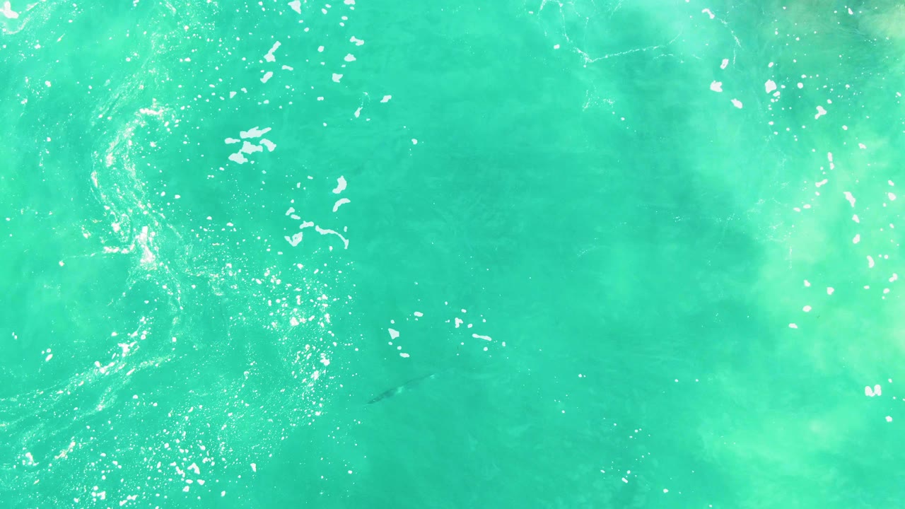 Overhead Punta Buzzards ocean view with bright turquoise water, clustered white bubbles near the upper left, and a faint dark marine animal lower in the frame, no visible people.