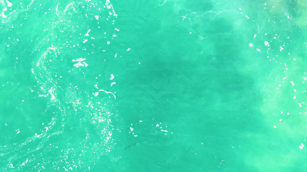 Aerial view at Punta Buzzards with turquoise water filling the frame, foam patterns along the left and center, and the dark marine animal visible beneath the surface, no visible people.