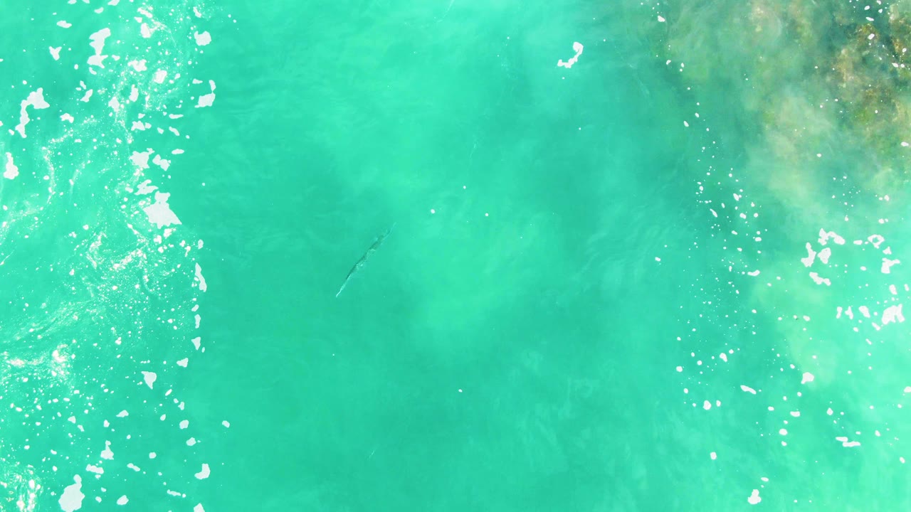 Overhead turquoise ocean at Punta Buzzards shows scattered white foam, reflected sunlight, faint seafloor or reef color, and a subtle fish shape beneath the surface with no visible people.