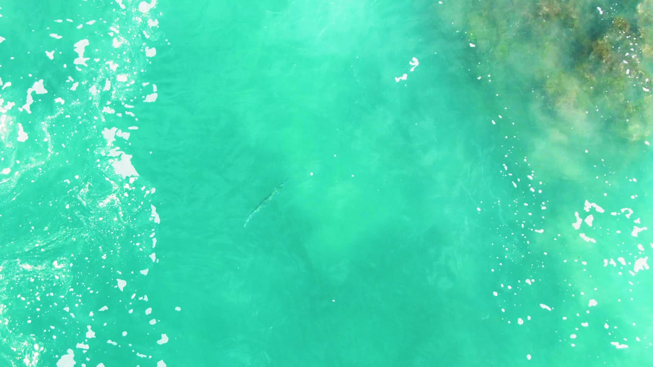 The fourth frame looks straight down into clear Punta Buzzards water, with a darker underwater patch near the upper area, broken white foam, and no visible people.