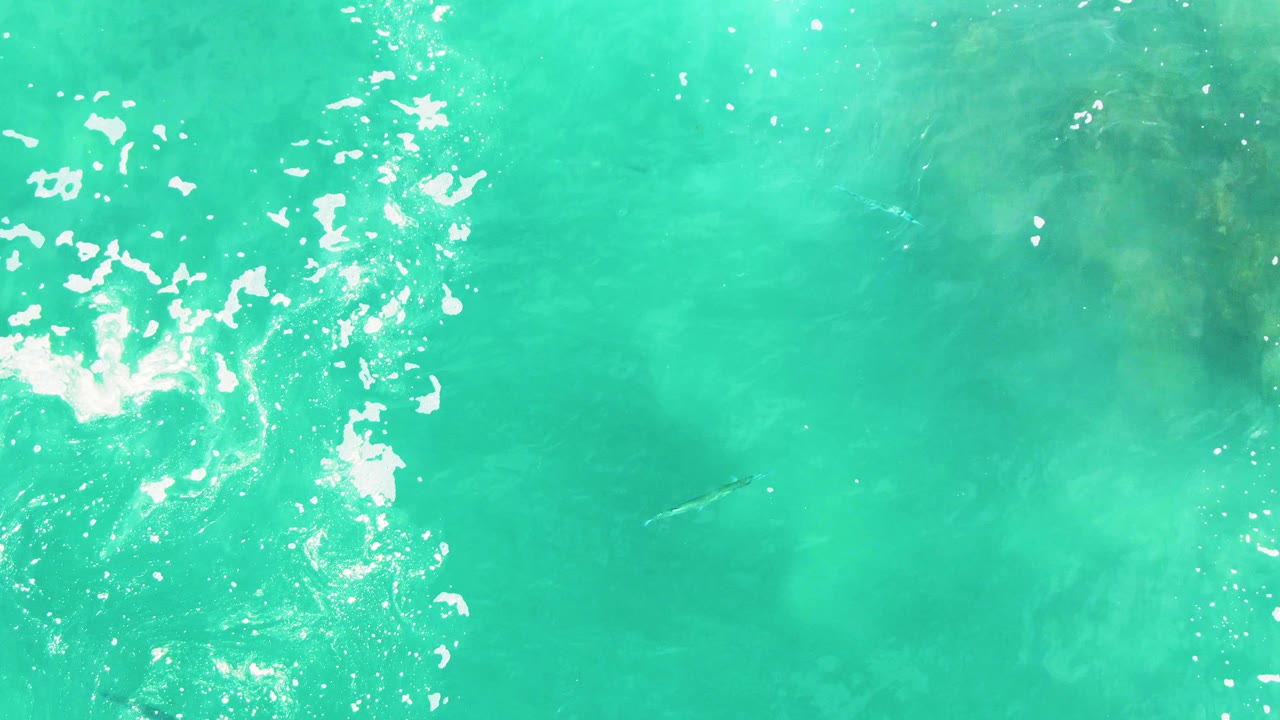Turquoise ocean at Punta Buzzards fills the frame with scattered white foam, darker underwater patches, and a faint animal shape below the surface, with no visible people.