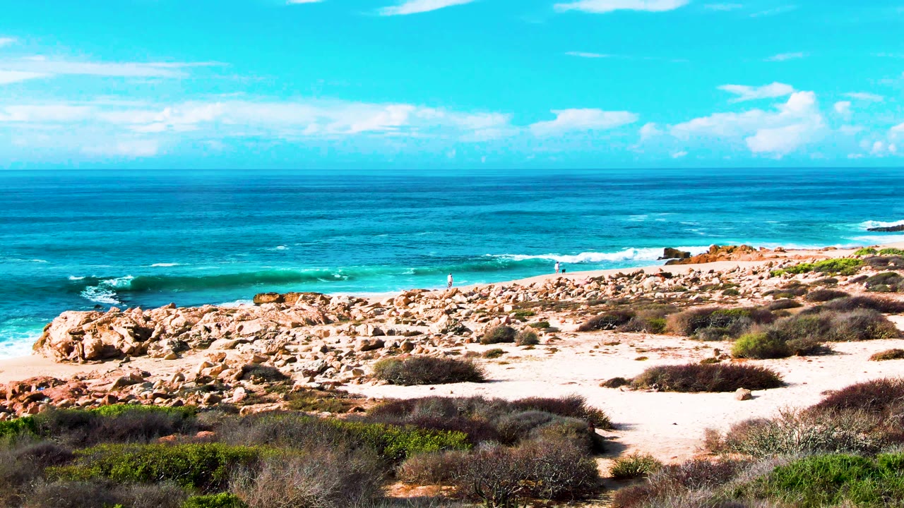 Waves roll toward a rocky sandy shore with scrub in front.