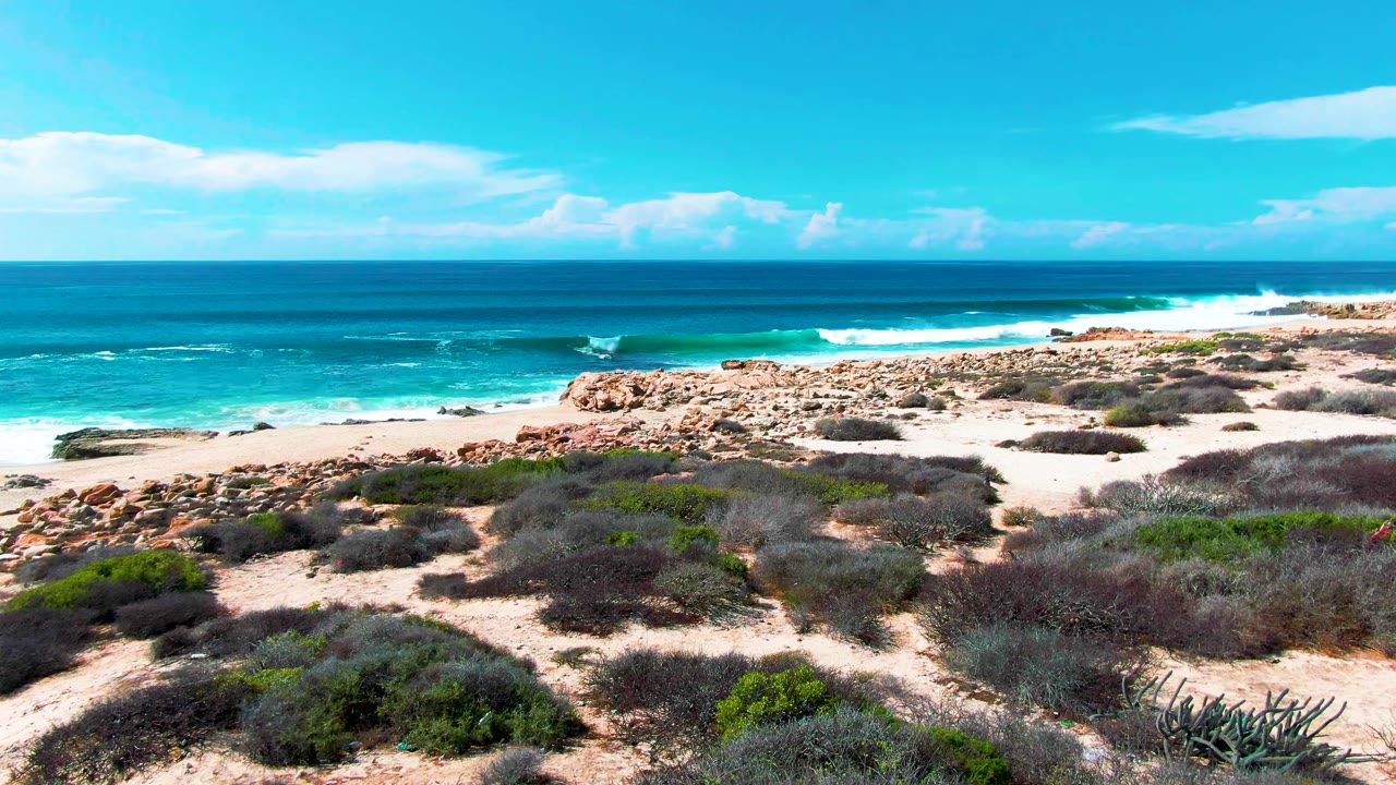 Rocky sandy shore with low shrubs, turquoise surf, and blue ocean horizon.