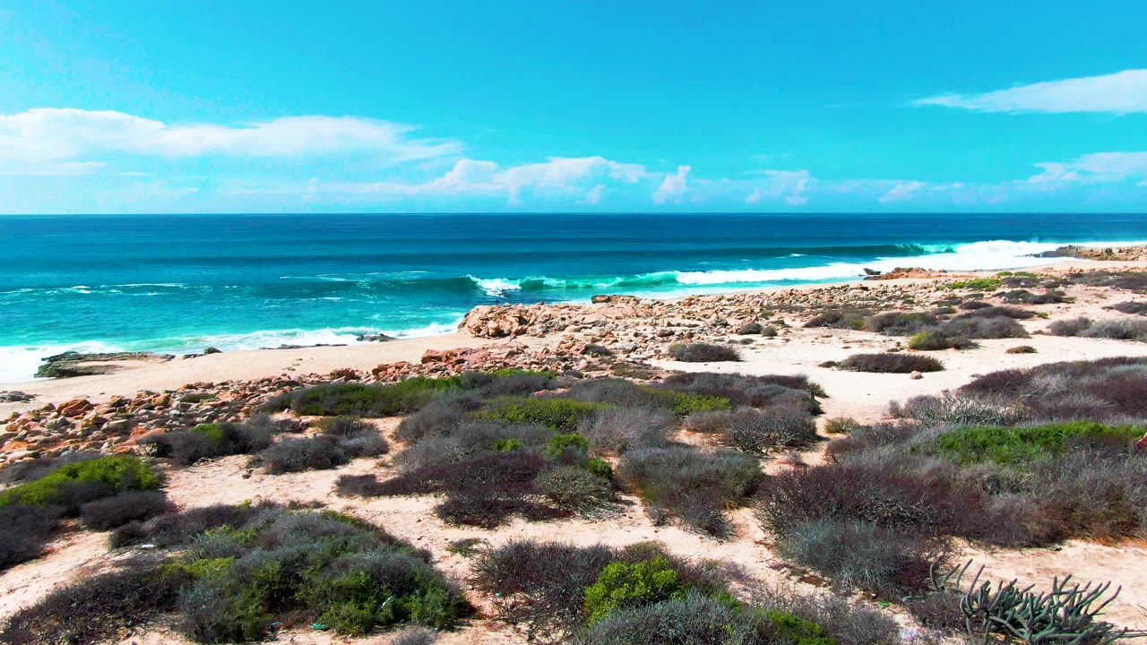 Punta Buzzards shoreline with scrubby dune vegetation across the lower frame, pale sand and rocks in the center, white waves breaking near shore, and no visible people.