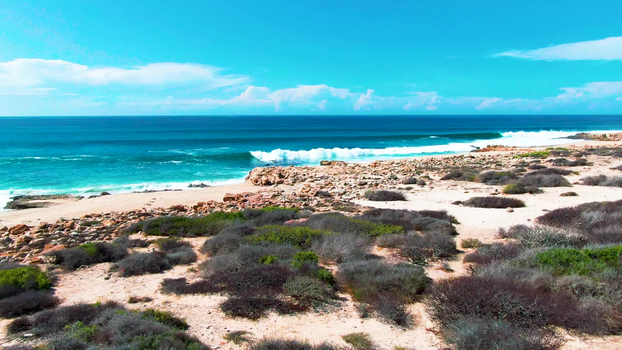 East Cape beach view at Punta Buzzards with rocky sand, scattered gray-green shrubs, a strong white surf band at right, open ocean, and no visible people.