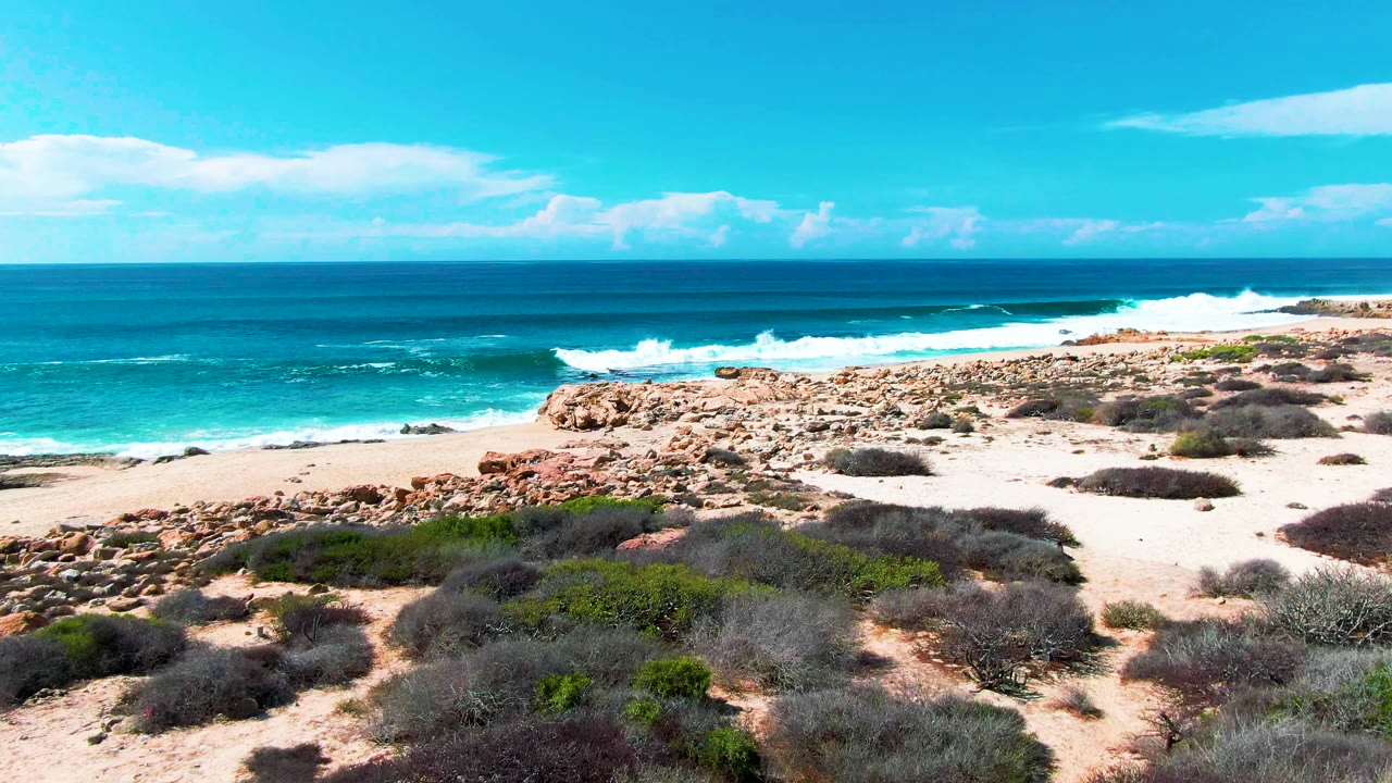 Mid-clip frame from Punta Buzzards showing the elevated view over sandy dune vegetation toward rocks, turquoise water, a white wave breaking offshore, and no visible people.
