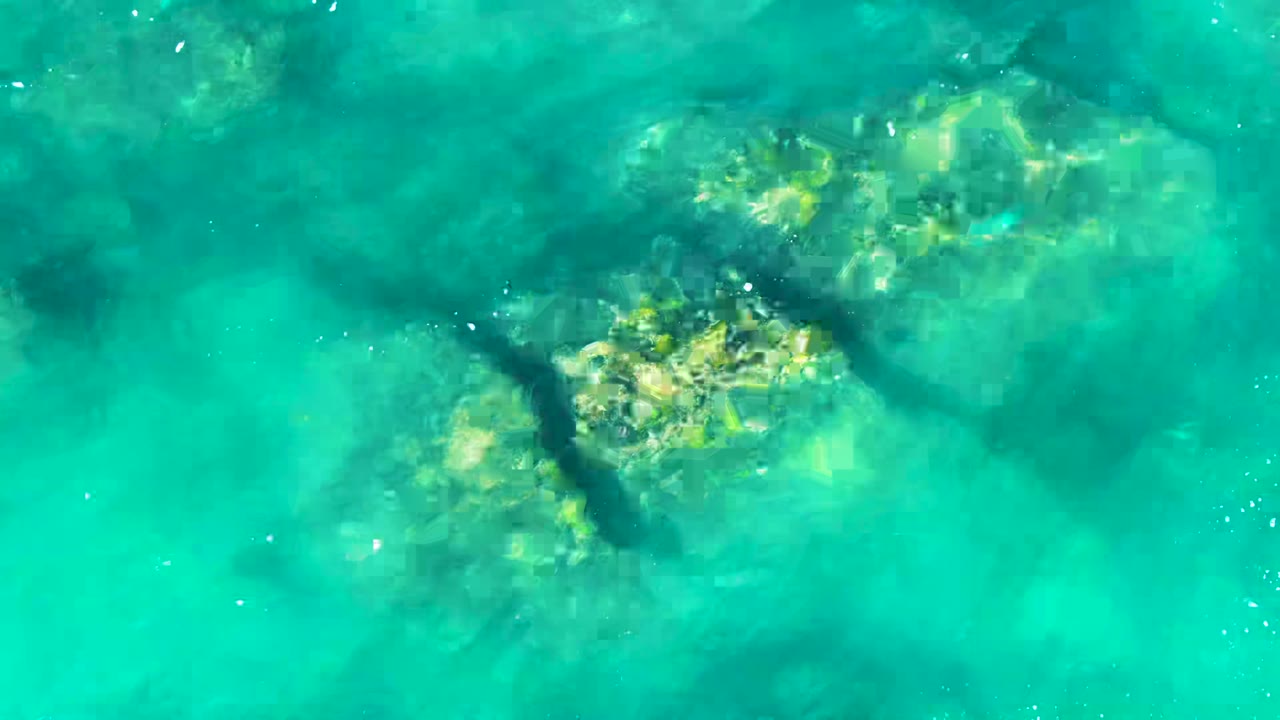 Turquoise ocean water over pale rocks with a dark turtle shape below the surface.