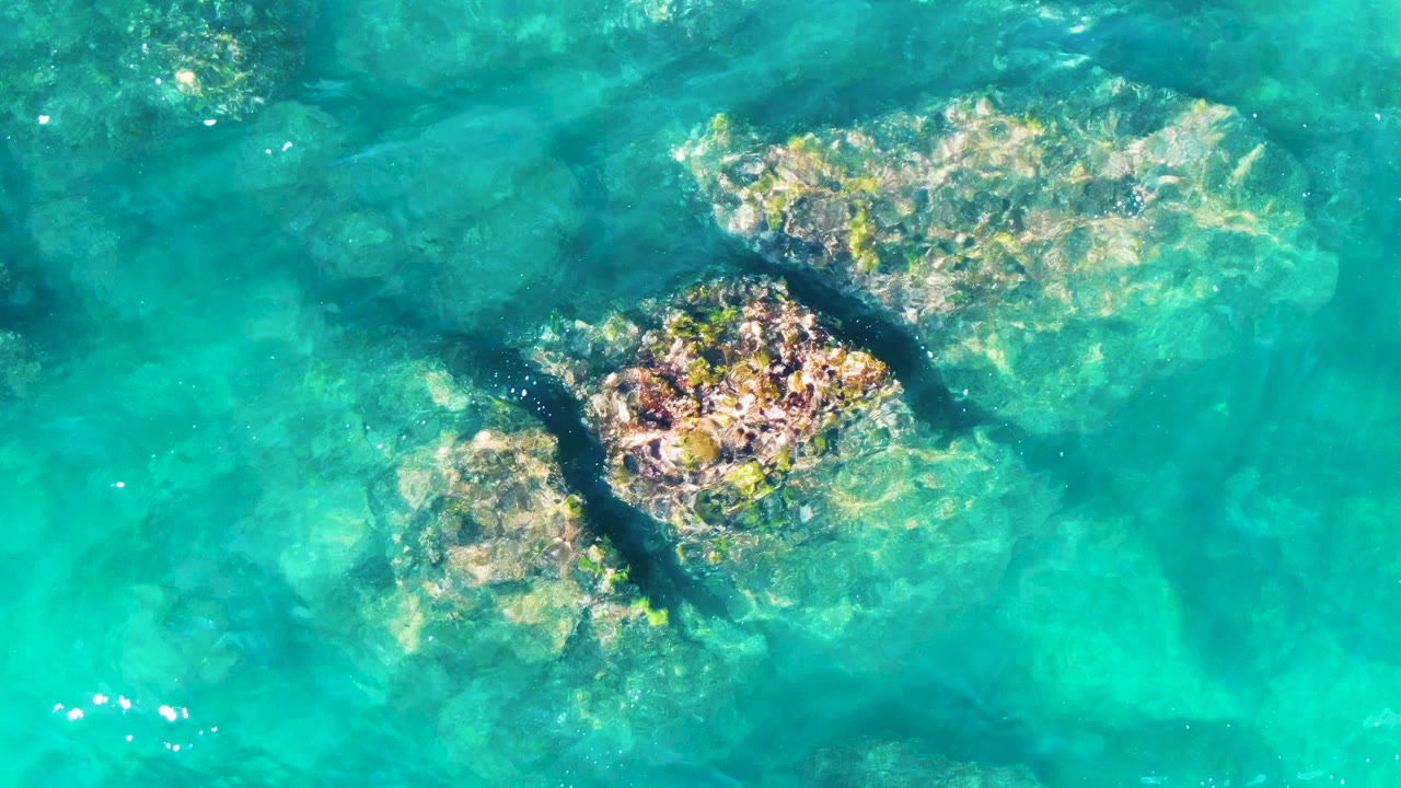 Clear green-blue water reveals a central submerged rock cluster at Punta Buzzards, Baja California Sur, with light patterns shifting across the stones and no visible people.