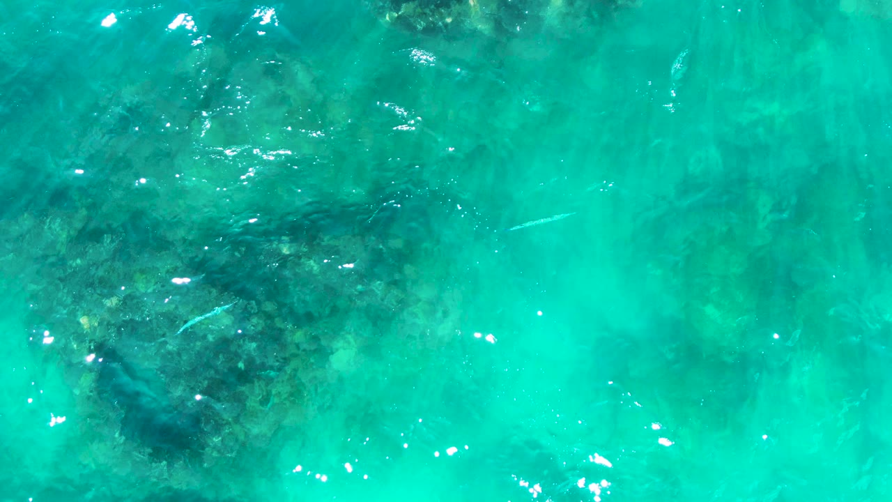 Top-down view of turquoise water at Punta Buzzards, Baja California Sur, with dark underwater rocks, small pale fish, sun glints, and no visible people.