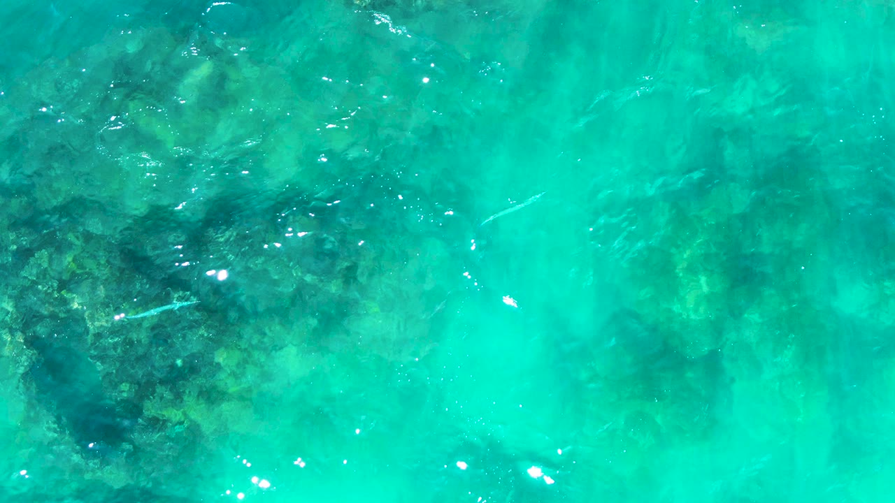 A later top-down frame at Punta Buzzards shows pale fish spaced across turquoise water, darker reef shapes below, bright ripples, and no visible people.