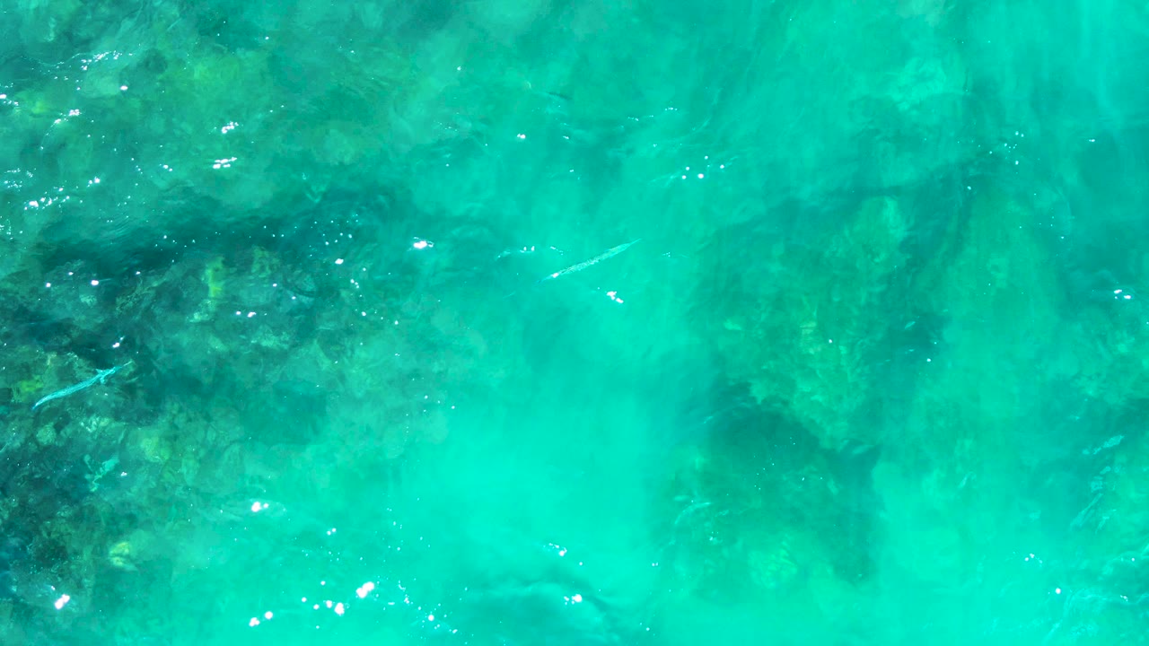 Turquoise ocean surface with underwater rocks, faint fish, and soft ripples.