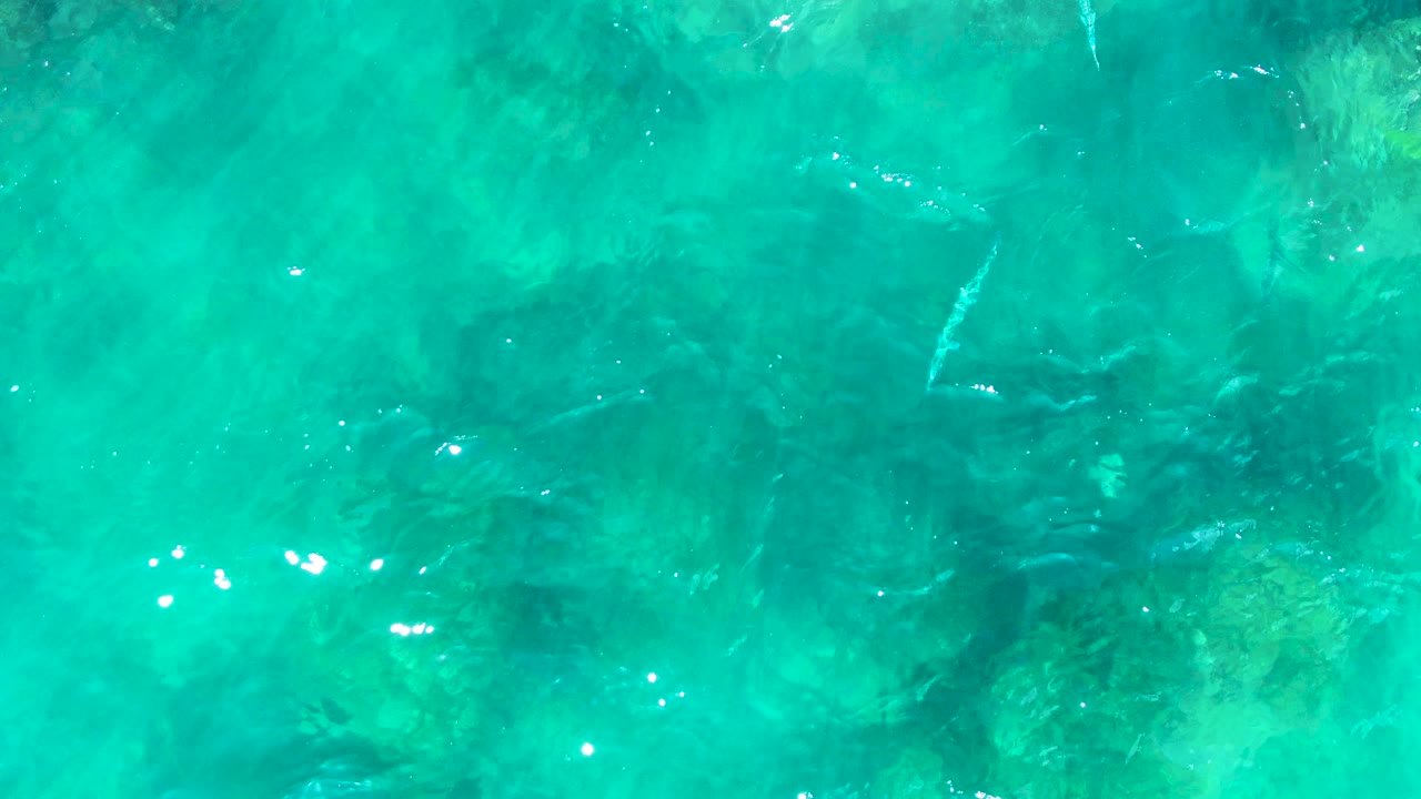 Clear turquoise water at Buzzards Beach, Baja California Sur, shows submerged rocks and coral patches beneath rippled sunlight, with no visible people.