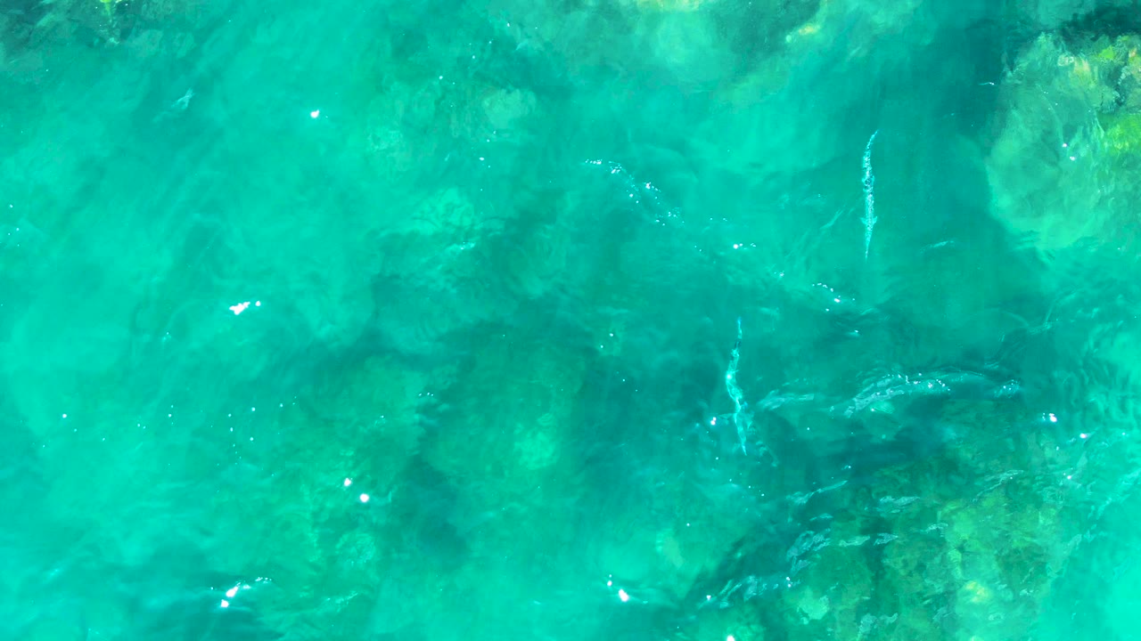 Clear East Cape ocean water reveals pale coral and rock patches beneath a rippled surface, with small fish shapes faintly visible and no visible people.