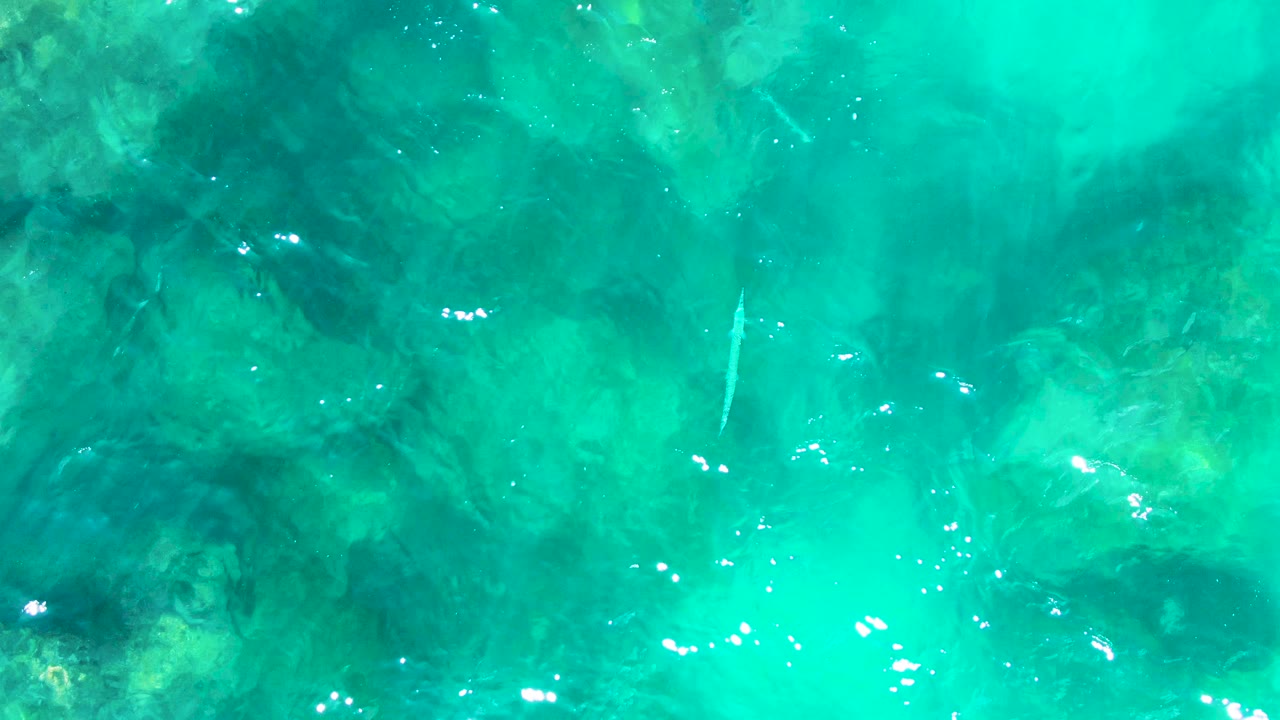 Top-down view of clear turquoise water over dark submerged rocks or coral at Punta Buzzards, Baja California Sur, with bright surface glints and no visible people.