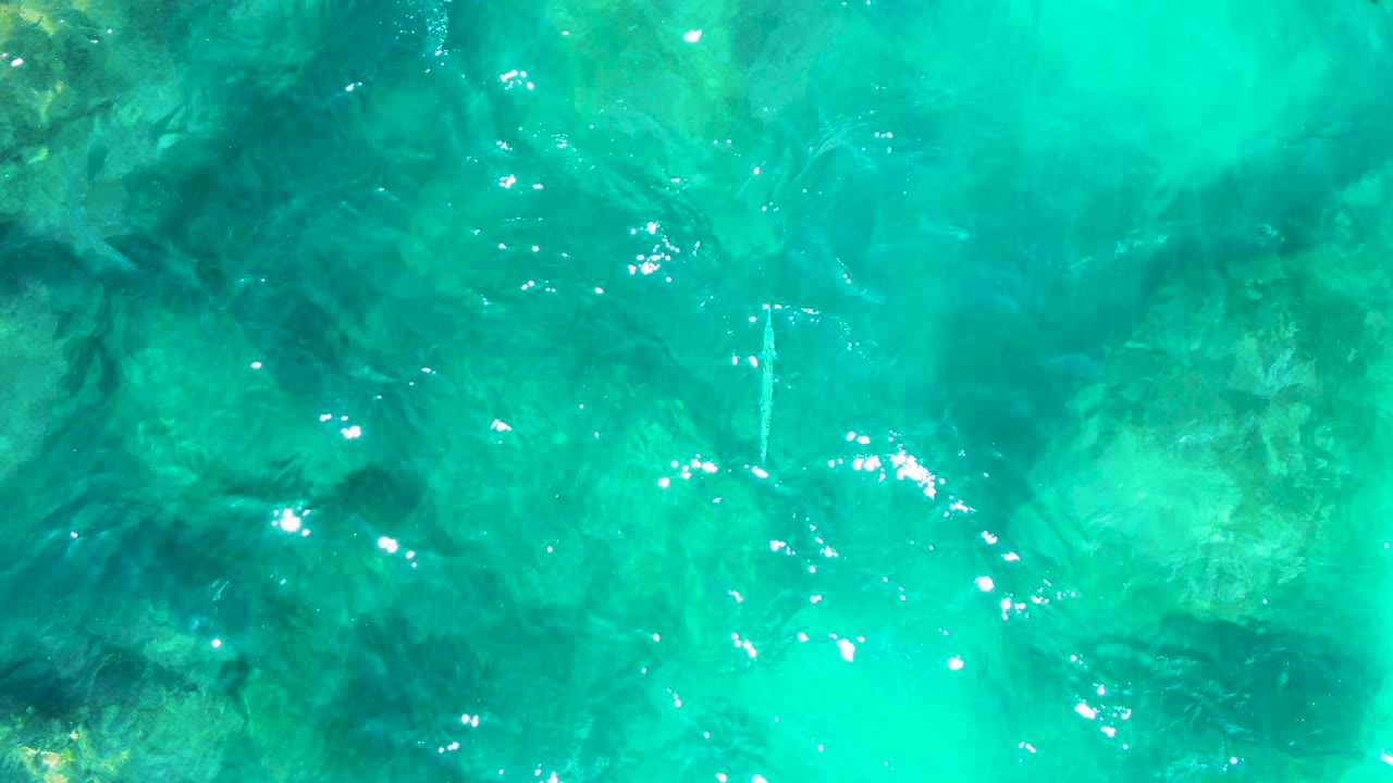 Clear turquoise ocean water at Punta Buzzards shows rippled surface reflections over faint rocks and coral-like seabed forms, with no visible people.