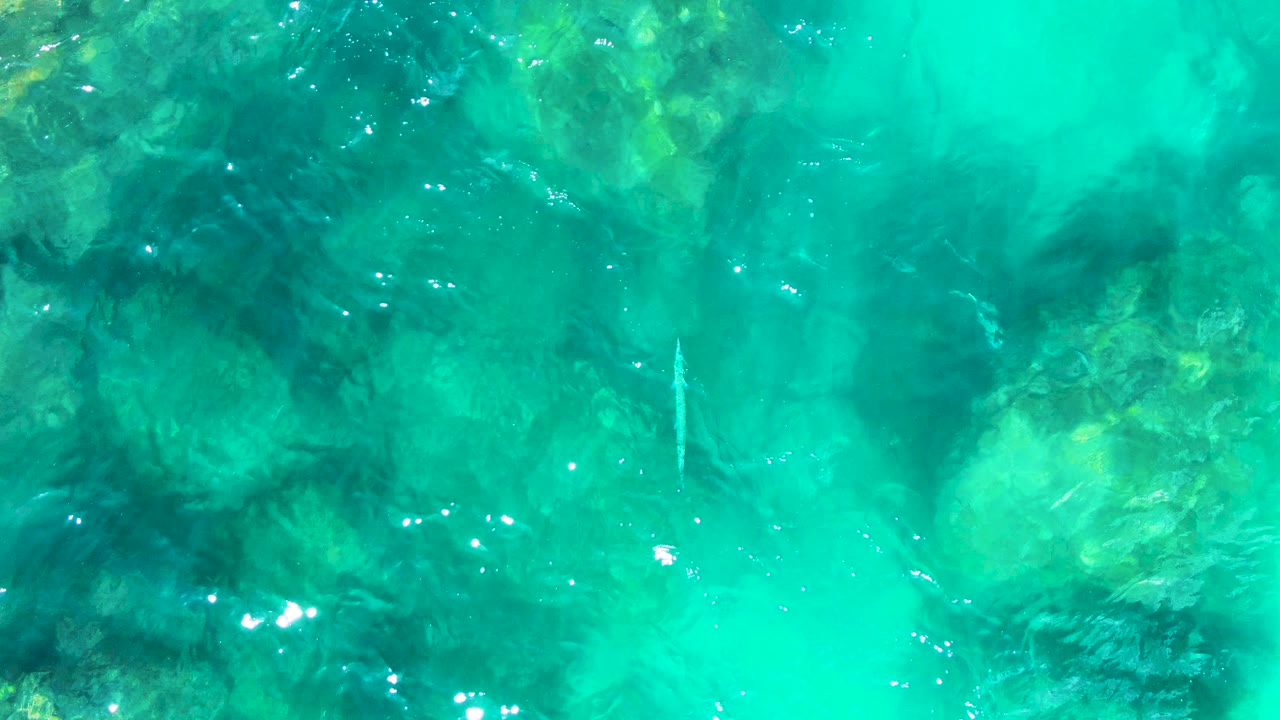 Bright reflection specks cross shallow turquoise water at Punta Buzzards, with darker submerged rocks or coral patches visible below and no visible people.