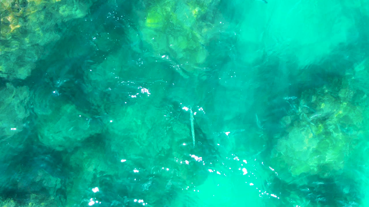 Turquoise water over larger green and dark seabed forms.