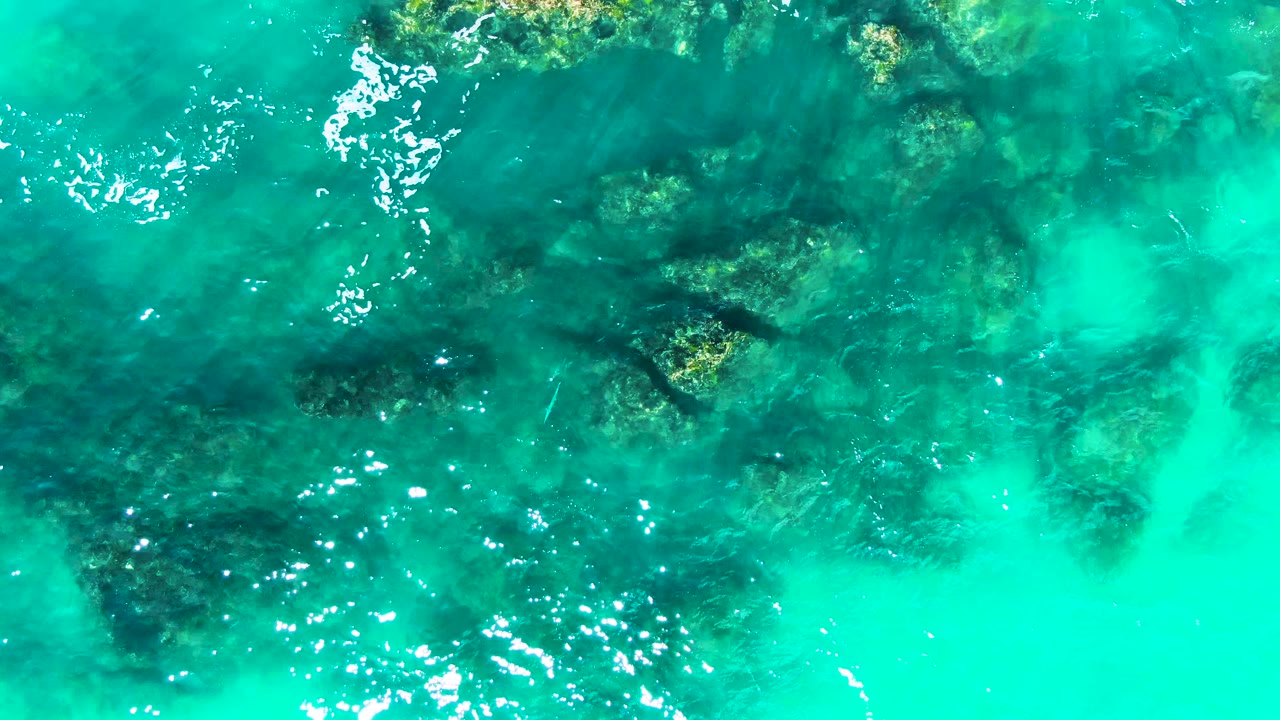 Overhead frame at Punta Buzzards with turquoise water, a broad dark rock formation below the surface, bright foam flecks, and no visible people.