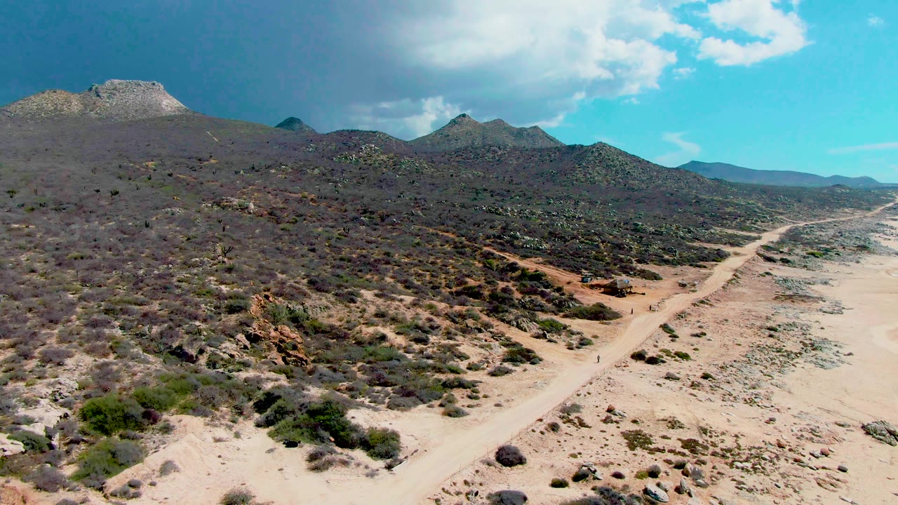 Desert dirt road curving past shrubs with mountains in the distance.