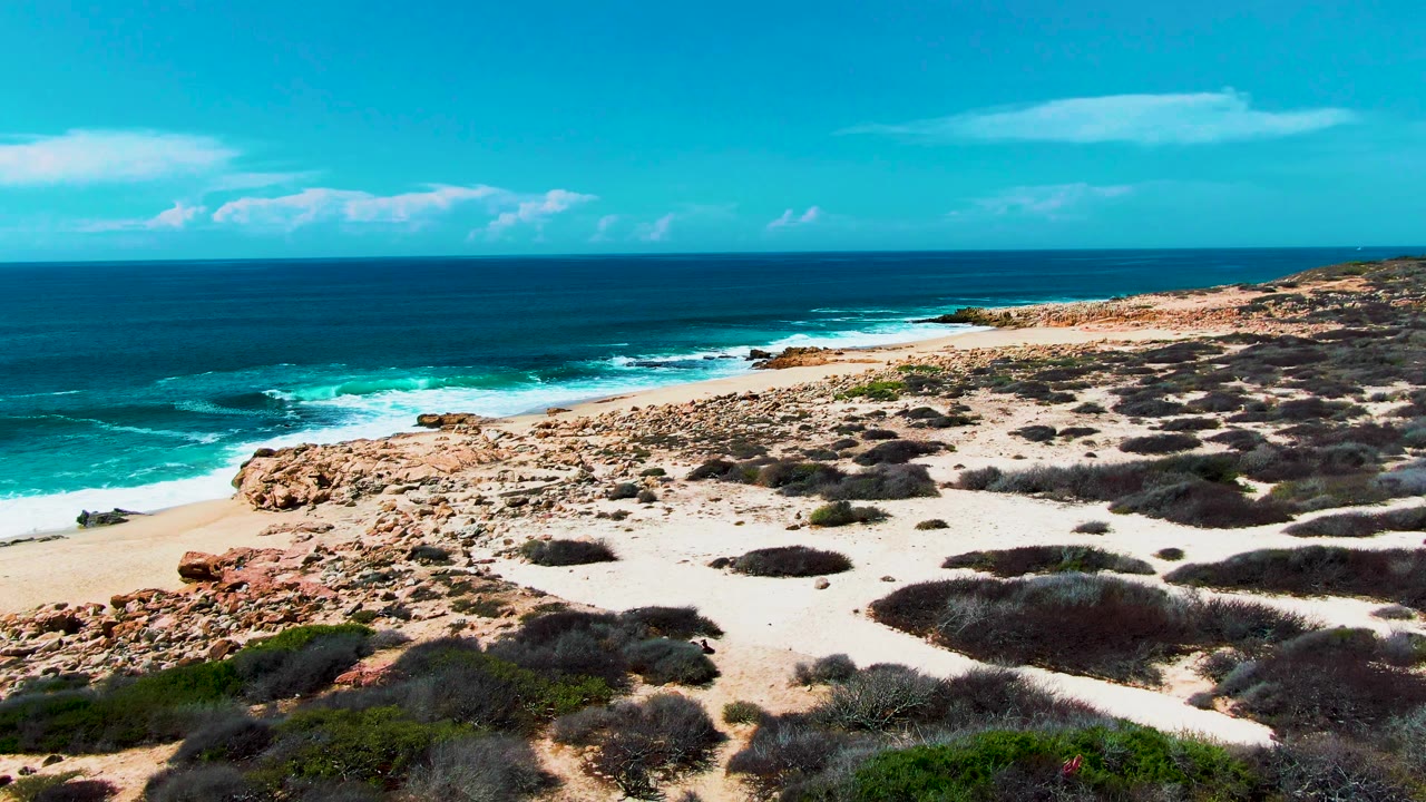 At Punta Buzzards in Baja California Sur, Mexico, an elevated view shows scrub-covered dunes leading to a rocky sandy shore and blue ocean surf, with no visible people.
