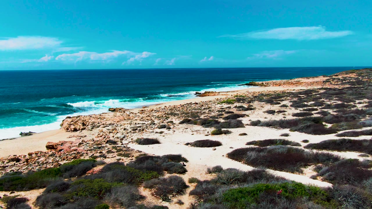 White waves break beside a rocky sandy beach and dune scrub