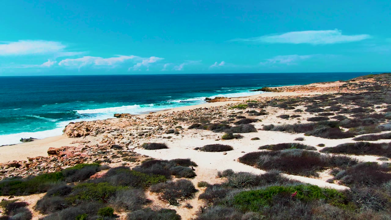 At Punta Buzzards in Baja California Sur, Mexico, the blue sea sits beyond white breaking surf and a sandy dune field dotted with dark low shrubs, with no visible people.