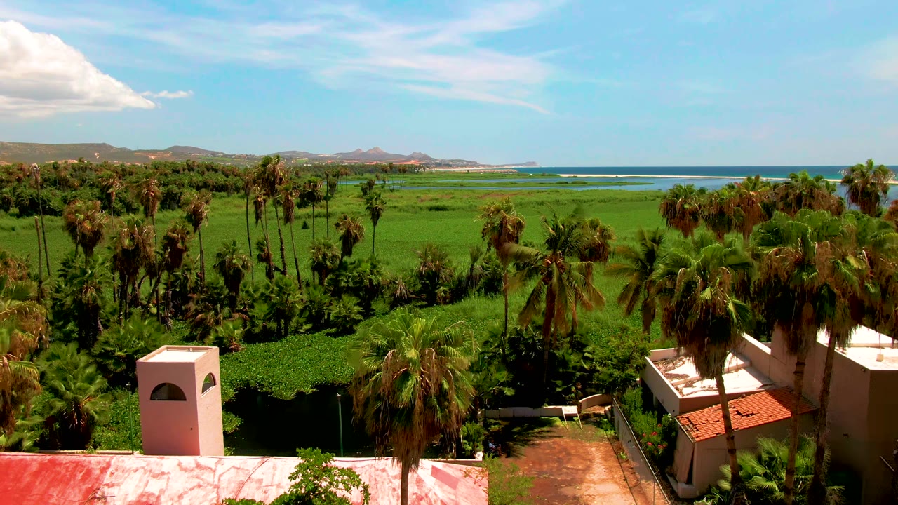 Opening aerial frame over San Jose del Cabo with palm trees, dense green fields, red-roofed buildings, a small white tower-like structure, blue ocean in the distance, and no visible people.