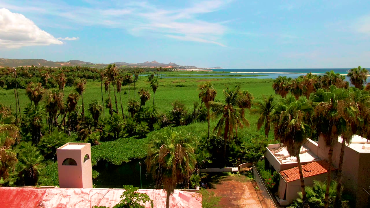 Aerial frame in San Jose del Cabo showing the white tower nearer the lower left, red roof and tan building at lower right, palms across green fields, ocean beyond, and no visible people.