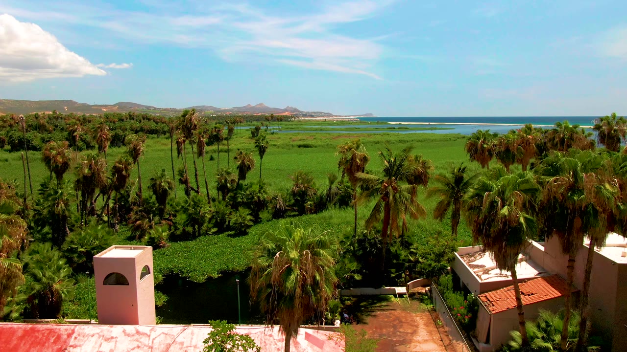 Aerial view over San Jose del Cabo with palms framing green fields, foreground buildings partly cropped at the bottom, a clear ocean horizon, distant hills, and no visible people.
