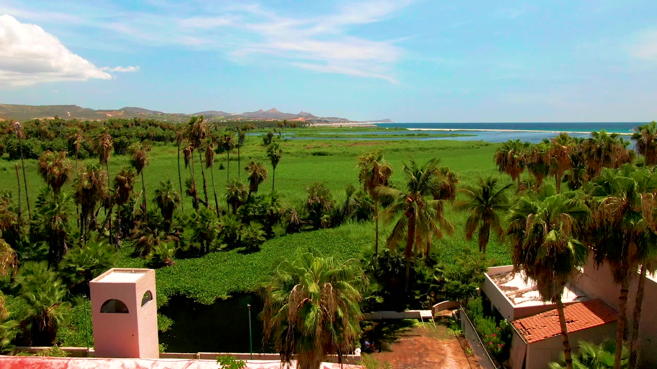 Wide aerial landscape of palms, green fields, rooftops, and blue ocean.