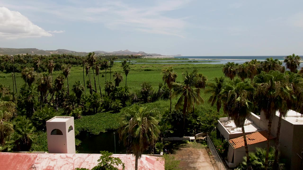 Elevated San Jose Del Cabo view with a white tower and red-roofed building in the foreground, palms across a green field, ocean and low hills in the distance, and no visible people.