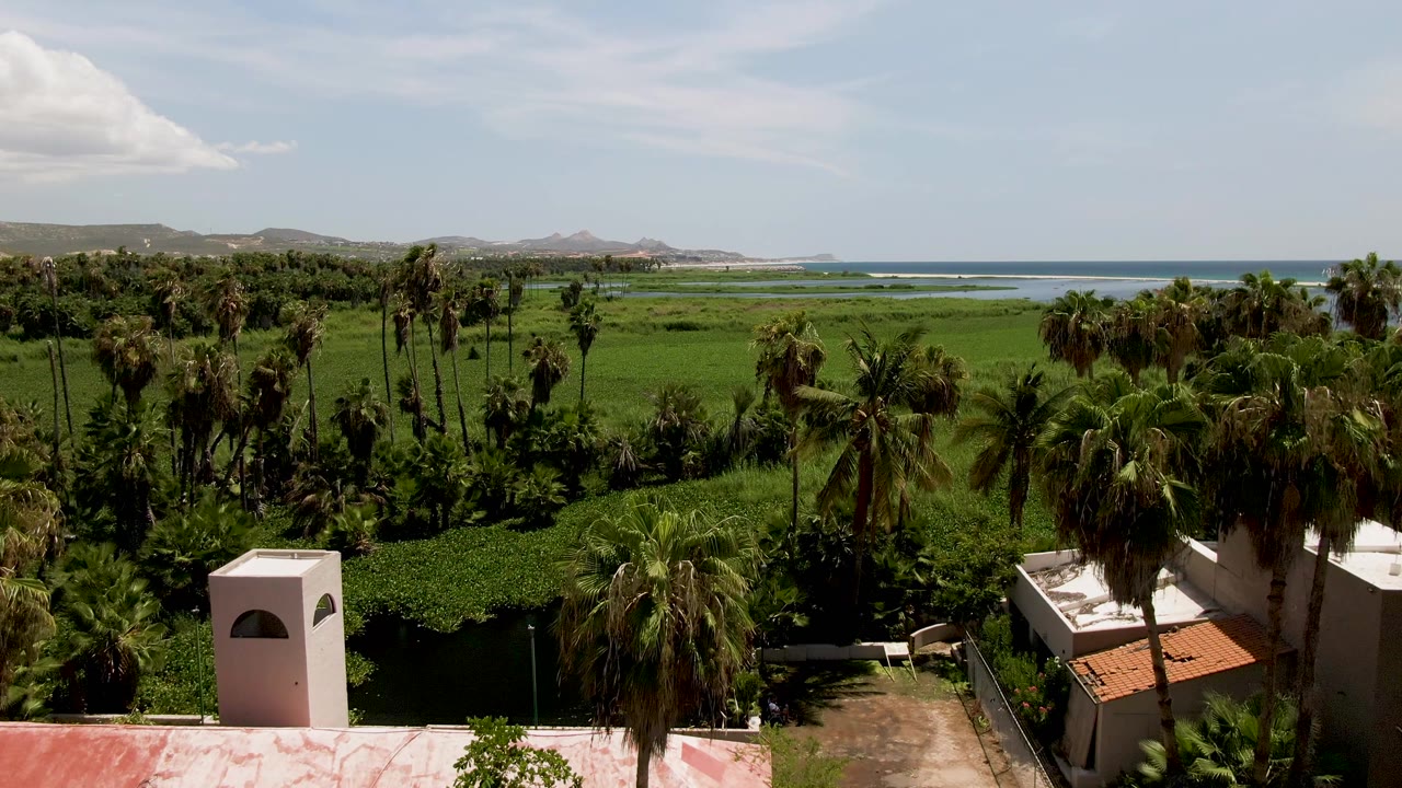 The view across San Jose Del Cabo shows the white tower near the lower frame edge, palms and dense green vegetation through the midground, ocean to the right, hills beyond, and no visible people.